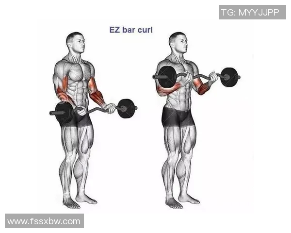 哑铃弯举手势图解及其正确姿势技巧详解助你打造完美手臂线条