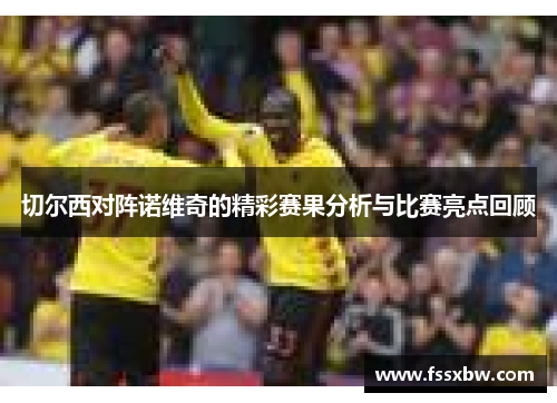 切尔西对阵诺维奇的精彩赛果分析与比赛亮点回顾