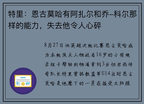 特里：恩古莫哈有阿扎尔和乔-科尔那样的能力，失去他令人心碎